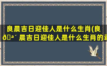 良晨吉日迎佳人是什么生肖(良 🪴 晨吉日迎佳人是什么生肖的动物)